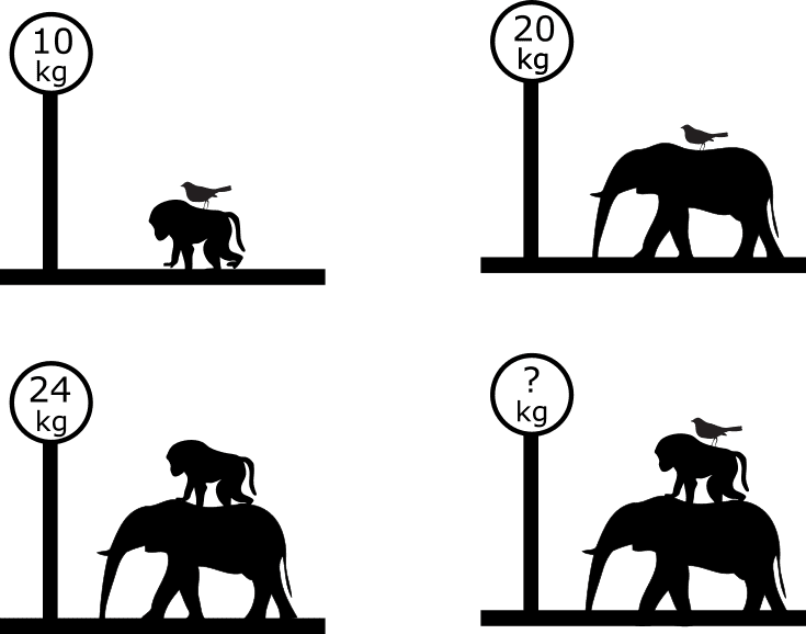 Question-110-Animal Weights