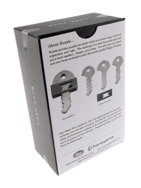 Metal Cast Puzzle - Key III