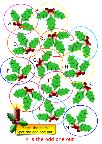PUZZLE 3 - Holly ANSWER
