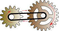 Straight Cog Belt